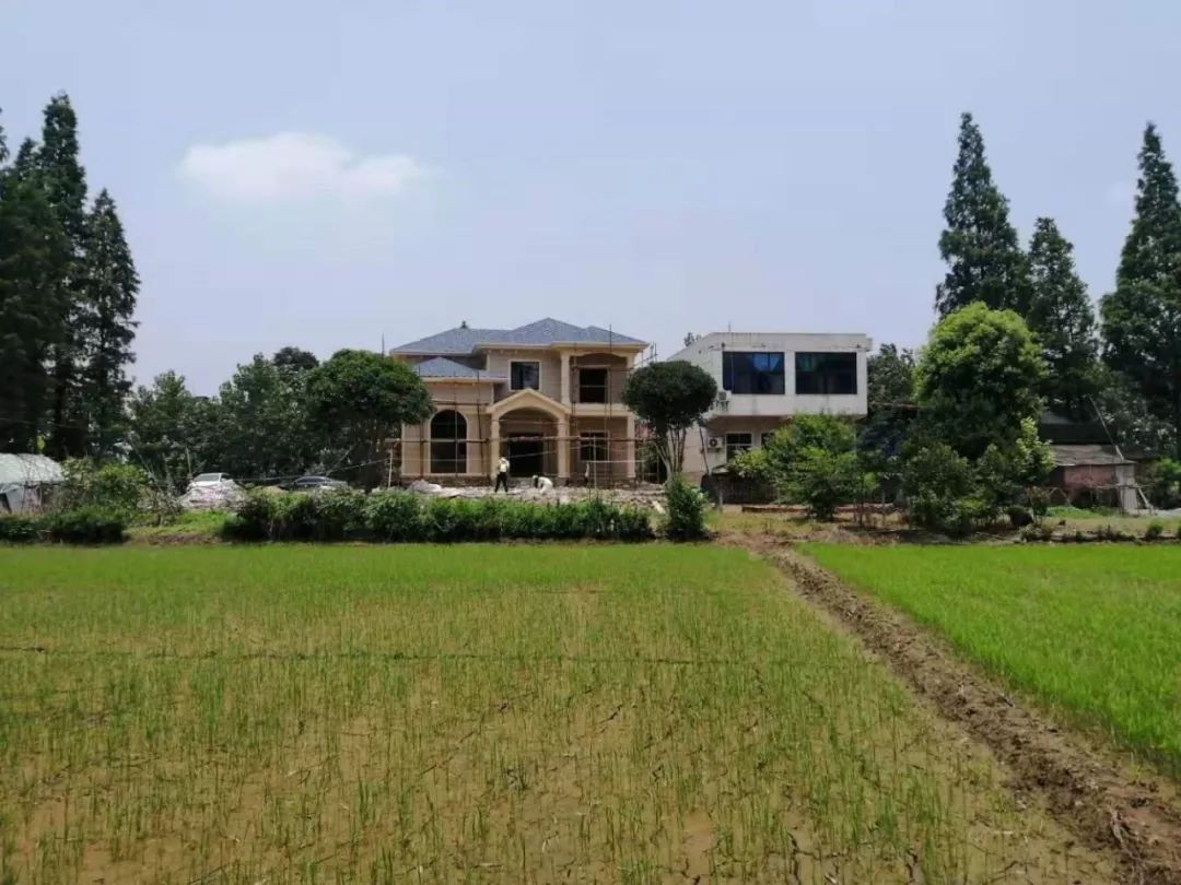 3套轻钢实景案例，第一套24万，搭建时村民疯狂(图14)
